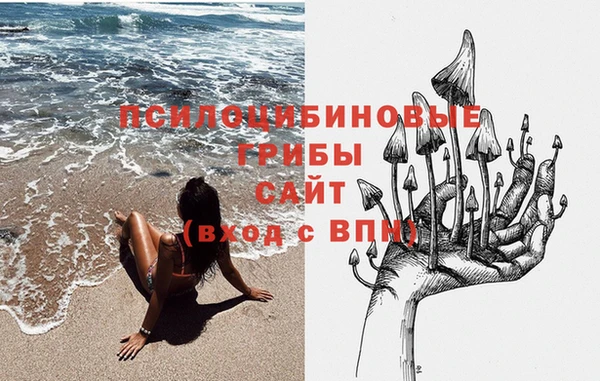 ECSTASY Аркадак